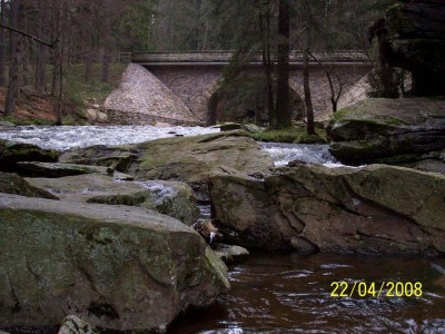 bartosovice_jaro_11.jpg