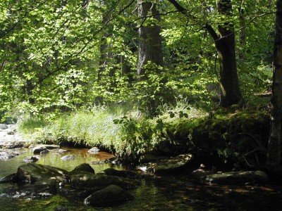 bartosovice_leto_04.jpg