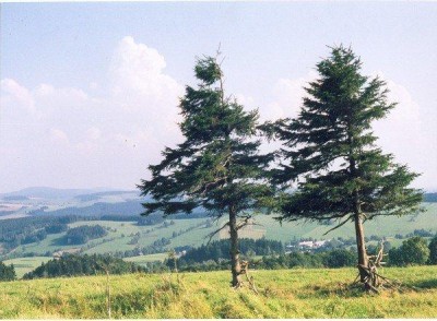 bartosovice_leto_07.jpg