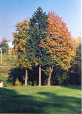 bartosovice_podzim_06.jpg