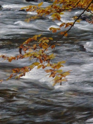 bartosovice_podzim_08.jpg