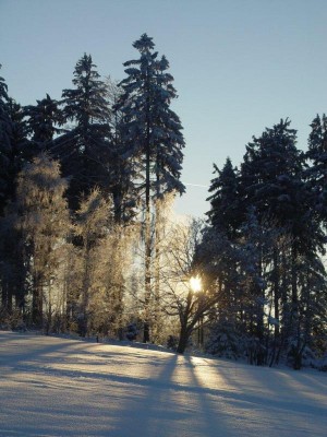 bartosovice_zima_02.jpg