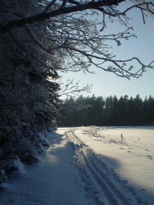 bartosovice_zima_04.jpg