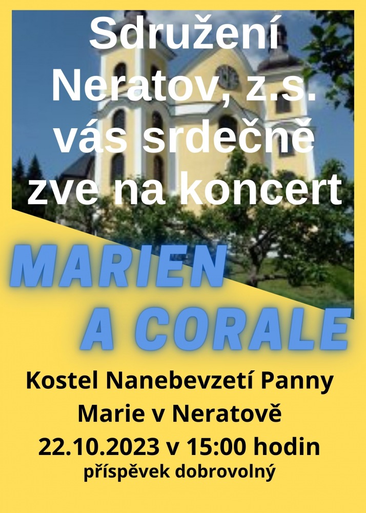 novinka_11264