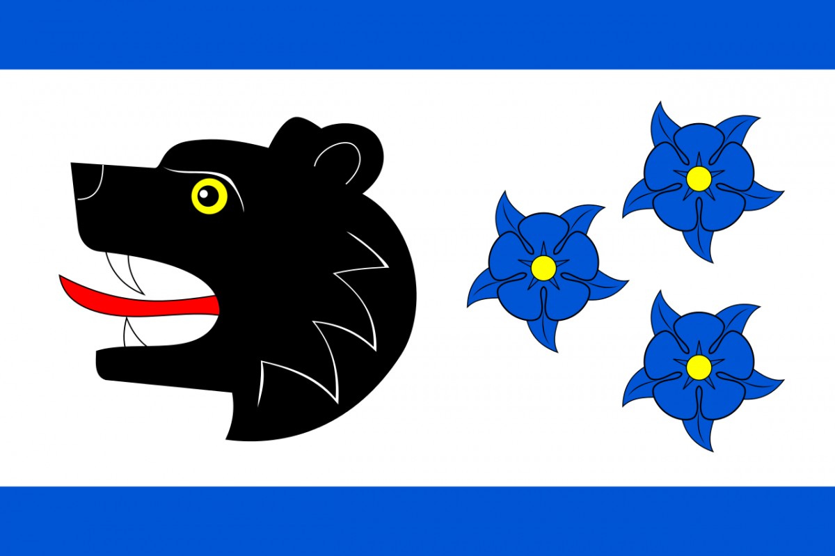 img_Flag_of_Bartosovice_v_Orlickych_horach_CZ.svg.png